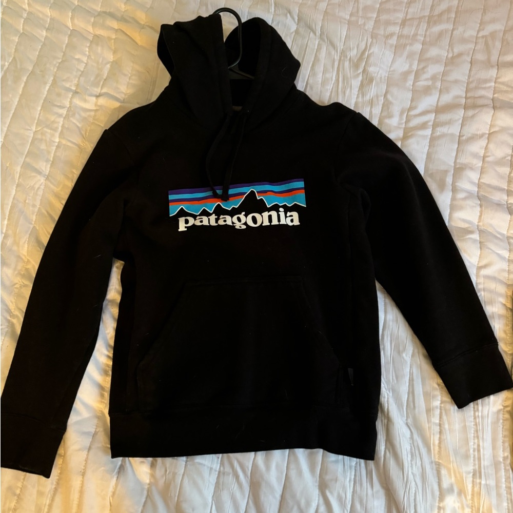Patagonia hoodie